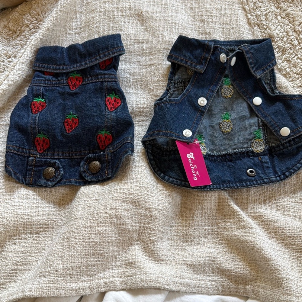 Vibrant red strawberries Red Dog Clothing